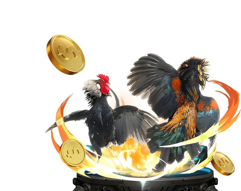 Hoàn trả thể thao và casino VZ88